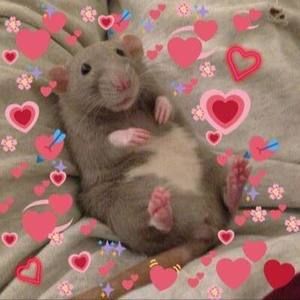 Meet your Posher, Leo